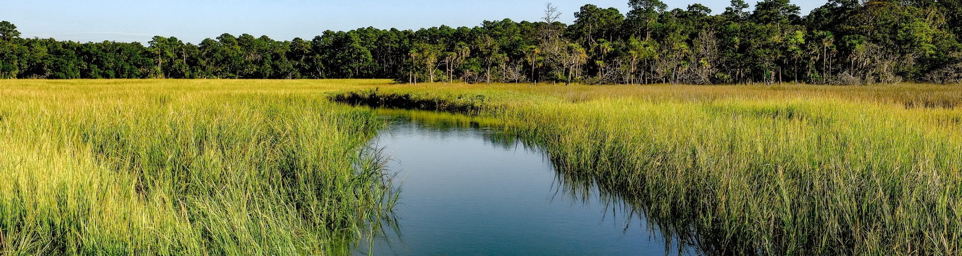 Lowcountry landscape of the Georgia Coast